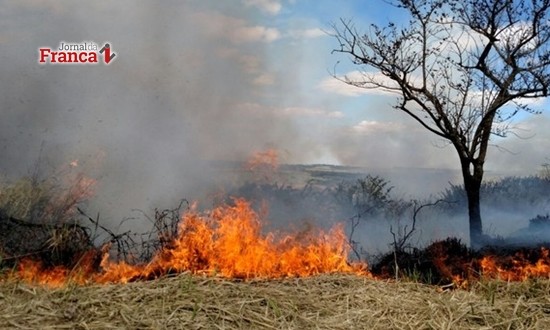 Estado de São Paulo inicia atividades da Operação Corta Fogo 2018