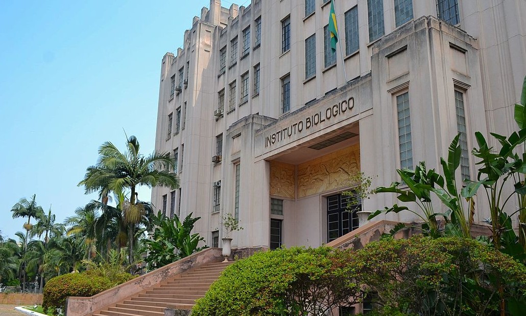 Instituto Biológico de SP faz estudos sobre pragas urbanas em alimentos