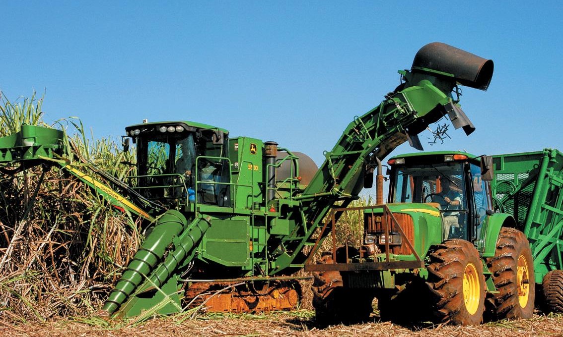 Governo nomeia 156 servidores concursados para atuar na Agricultura