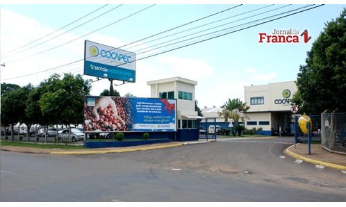 Franca continua com melhor preço da saca de café no mercado interno