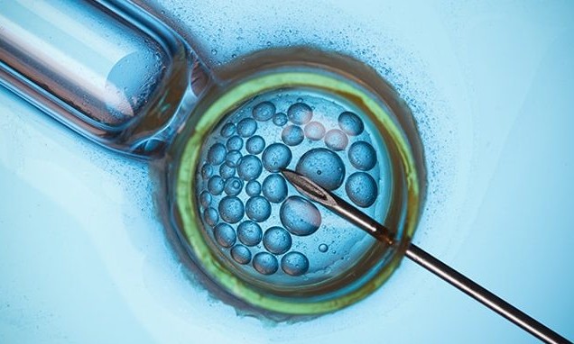 Reprodução assistida: avanços aumentam chances de sucesso na gravidez