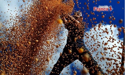 Censo no campo mostra aumento da área destinada à agricultura no país