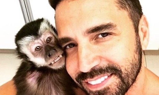 Latino transforma cinzas do macaco Twelves em diamante: ‘Emocionado’, diz