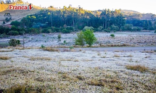 Região mineira próxima a Franca teve temperaturas negativas e pontos de geada
