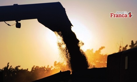 Cristais Paulista classifica Fazenda por experiência no Prêmio Novo Agro