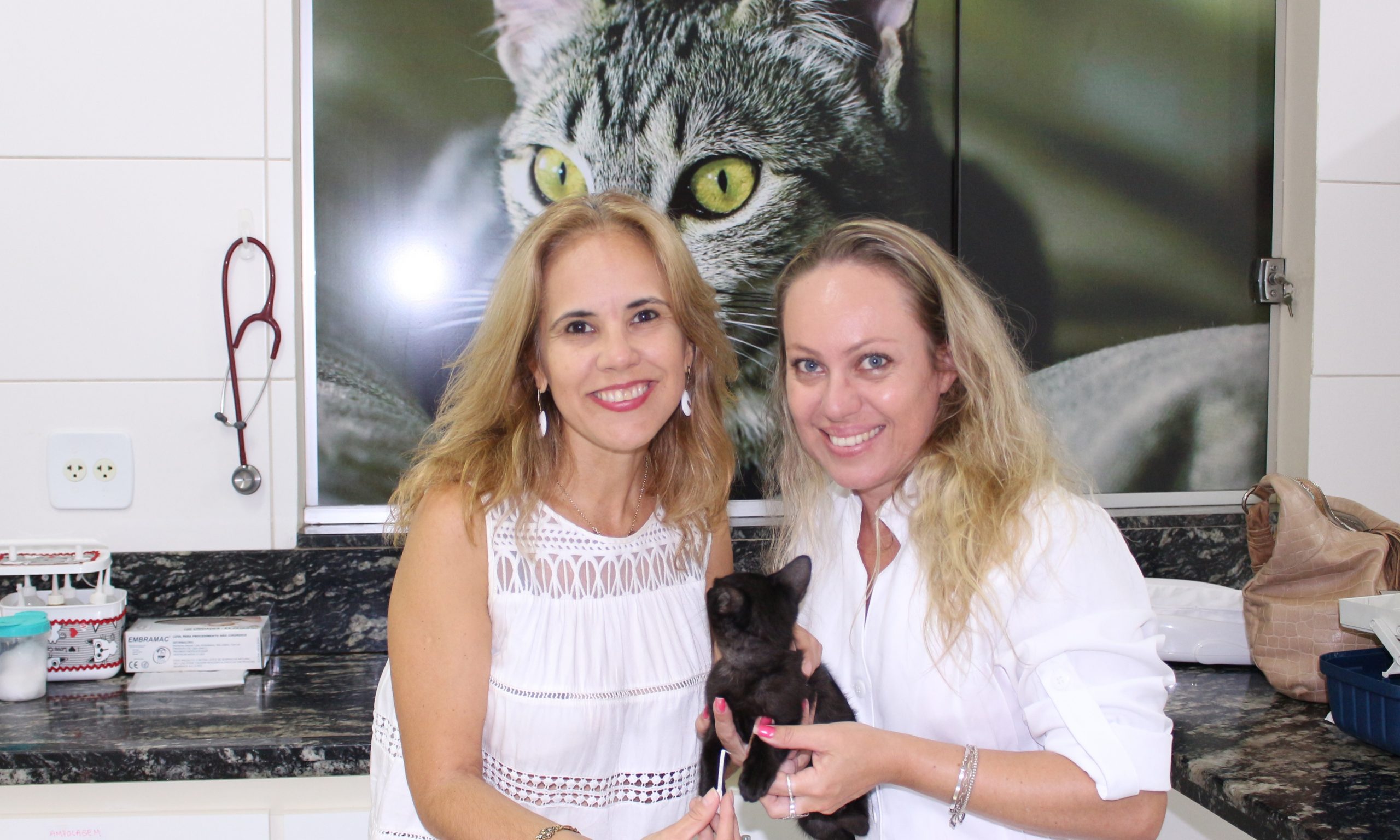 Doenças oftalmológicas comuns em humanos podem afetar os pets