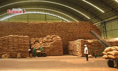 Saca de café tem queda de 3,13% e saca a R$ 465,00 no mercado em Franca