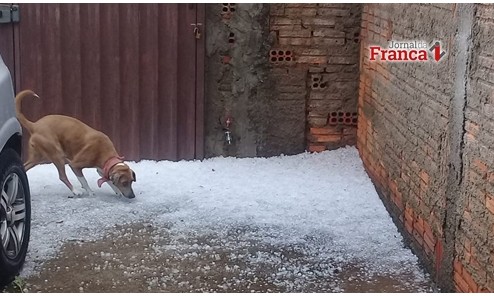 Chuva de granizo deixa ruas e casas tomadas pelas pedras de gelo em Passos
