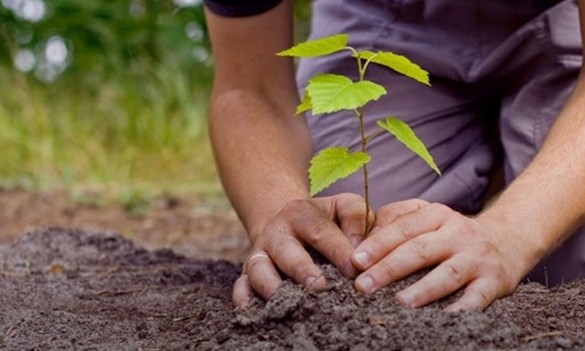 Semana Ambiental começa nesta segunda-feira, 17, com várias atividades em Franca