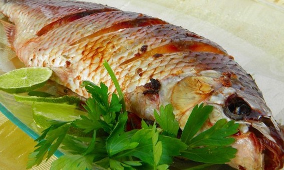 Peixe Assado e Recheado com Tomate e Ervas traz mais sabor à mesa