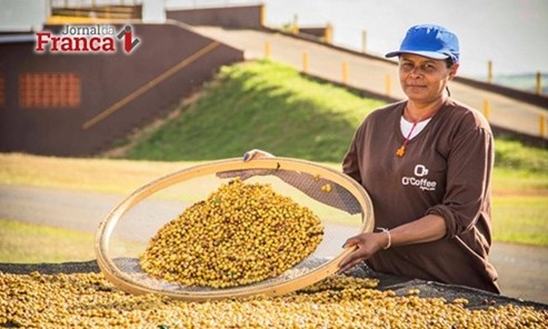 Mercado do café trabalha com poucos negócios e preços estáveis