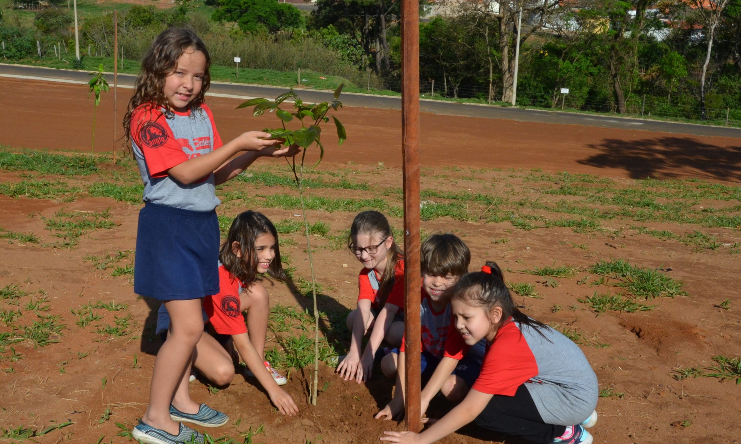 Alunos do Jardim Luiza participam de plantio de mudas em praça do bairro