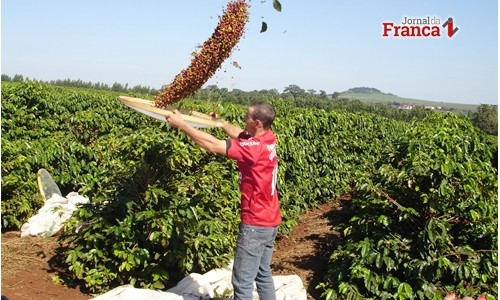 Agronegócio também mostra alto índice de desemprego em Franca
