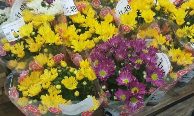 Espaço para a venda de flores no Dia de Finados já está definido em Franca
