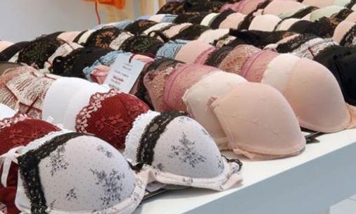 Fussol abre inscrições para Oficina de Modelagem e Lingerie em Franca
