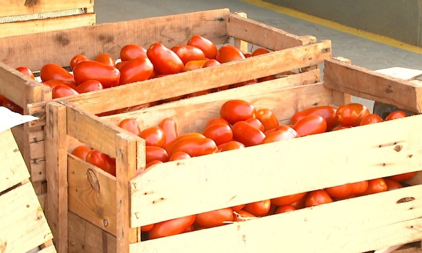 Preço do tomate aumenta em Ribeirão Preto e outras cidades da região
