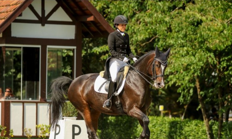 Campeonato Brasileiro de Cavalos Novos será de 9 a 14 de outubro em Orlândia