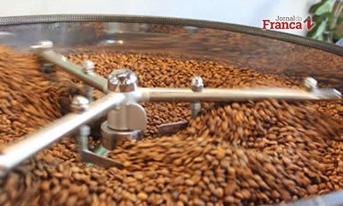 Preço da saca de café abre semana após alta, mas valor já esteve acima dos R$ 440