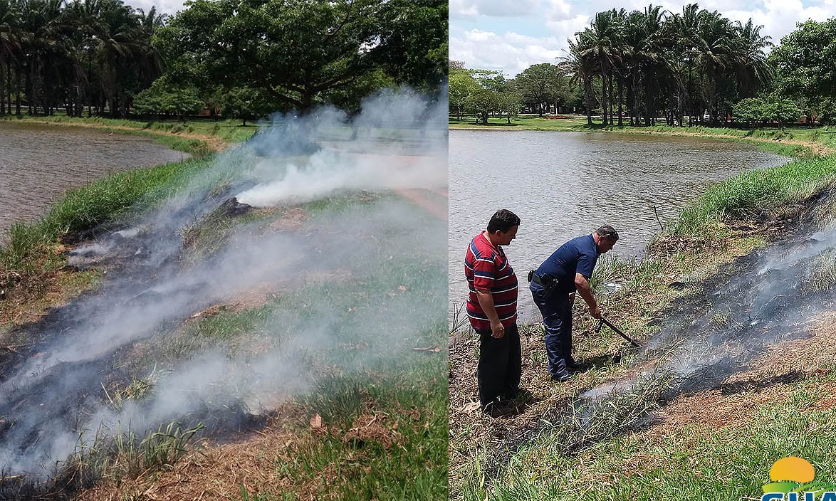 Vândalos ateiam fogo à vegetação do Parque Ecológico Maracá em Guaíra