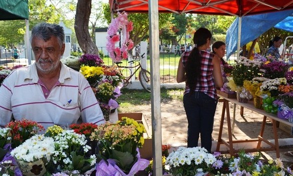 Leilão para venda de flores no Dia de Finados acontece dia 18 de outubro