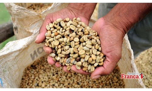 Franca registra melhor preço para dois tipos de café, a R$ 470 e R$ 460
