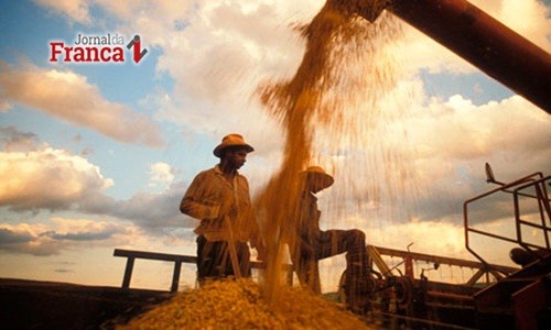 Setembro Negro também rondou Agronegócio com saldo negativo de emprego