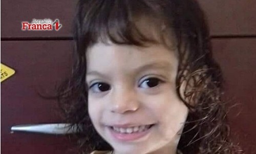 Menina de 4 anos morre após ser picada por escorpião. Casos crescem