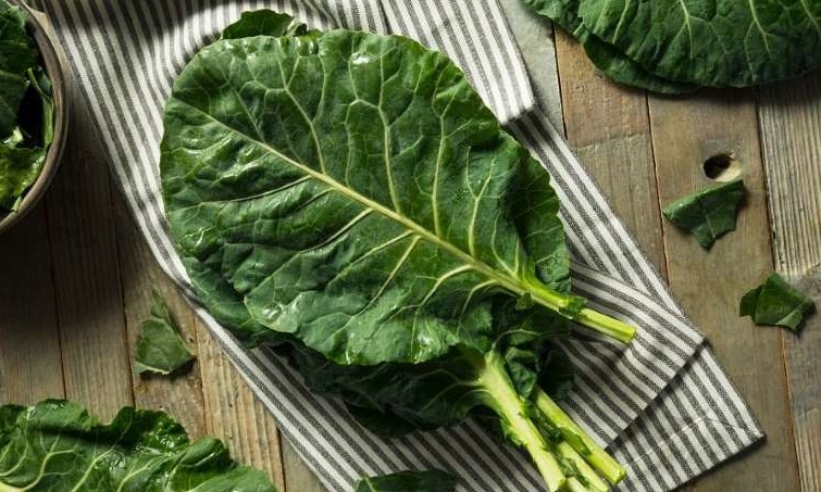 Folha poderosa: entenda os benefícios da couve para a dieta detox