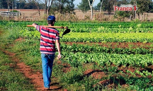 Aprovada MP que prorroga prazo de adesão ao Refis do Funrural para até 31/12
