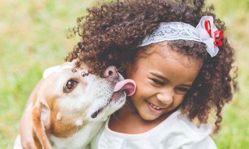 Pets podem estimular a afetividade e diminuir a ansiedade em crianças