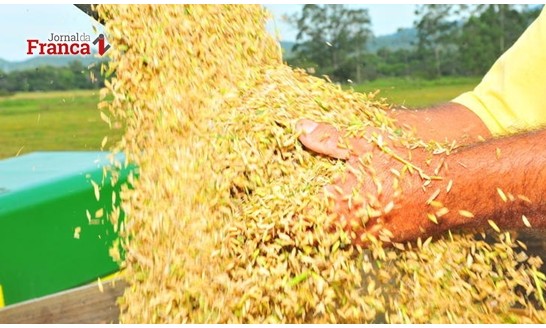 Balança comercial do agronegócio fica positiva em US$ 7,1 bi em setembro