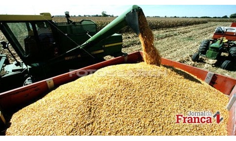 Confiança no setor Agro cresce após eleição de Bolsonaro