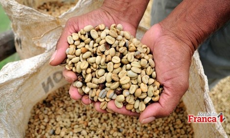 Preço da saca do café em Franca têm alta de 2,17% e vai a R$ 470 no tipo 4/5
