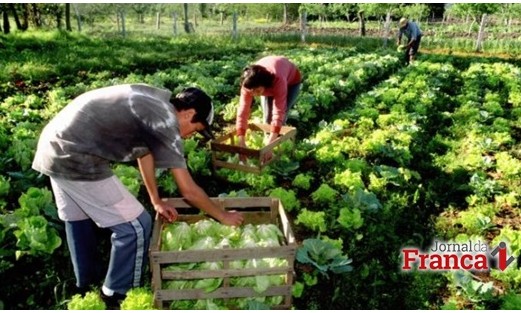 Novo prazo para aderir ao Refis Rural vai até 31 de dezembro