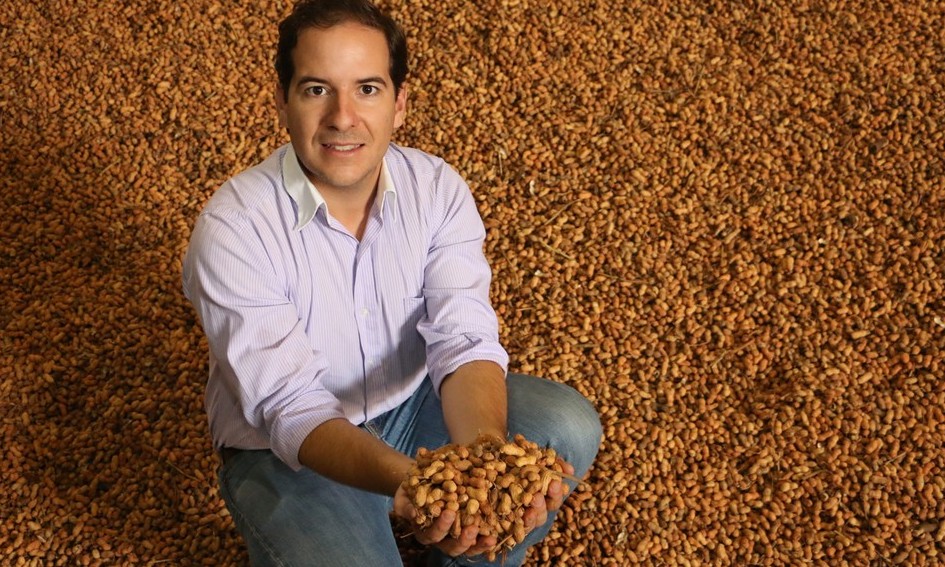 Chuva antecipa plantio e produção de amendoim deve crescer 5% na região