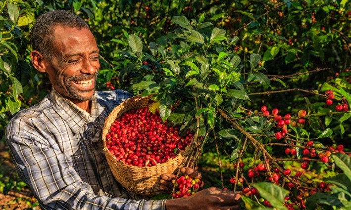 Confiança do Agronegócio avança e atinge 100,3 pontos no 3º trimestre
