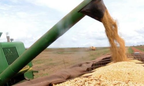 Agropecuária lidera aumento de 16,6% das exportações em outubro