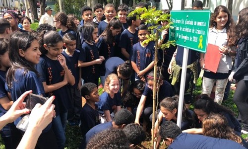 Ação: Plantio de árvores homenageia vítimas de acidentes de trânsito