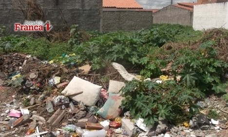 Projeto institui multa para proprietários de terrenos baldios abandonados