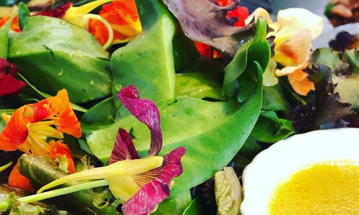 Pancs, plantas alimentícias não convencionais, que são usadas na culinária