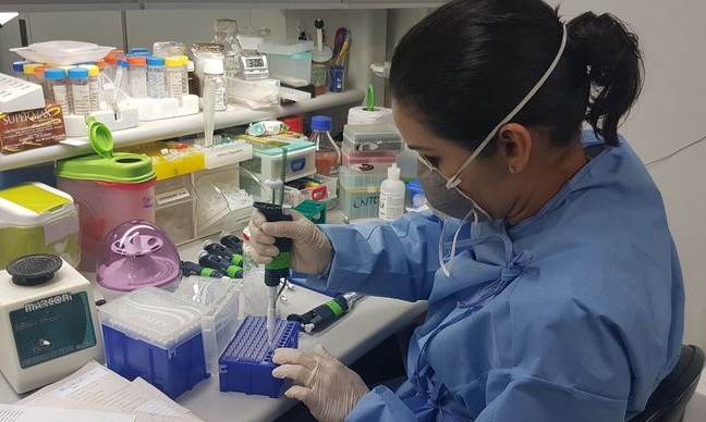 Cientistas da Unesp sintetizam molécula que elimina vírus da hepatite C