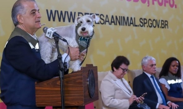Subsecretaria de Defesa dos Animais de SP já está em funcionamento