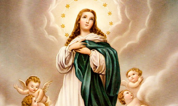 Dia 08 de dezembro é celebrada Nossa Senhora da Imaculada Conceição