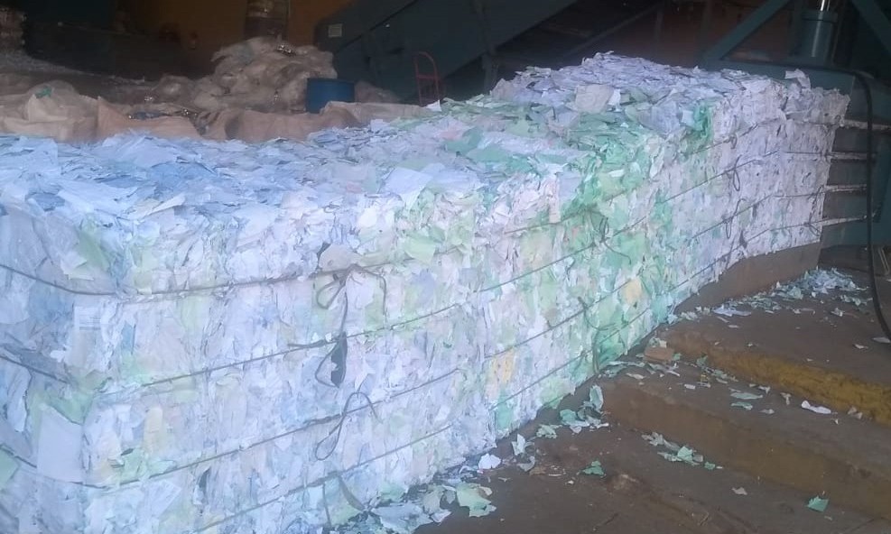 Grupo Stéfani Ribeirão Diesel descarta sete toneladas de papel