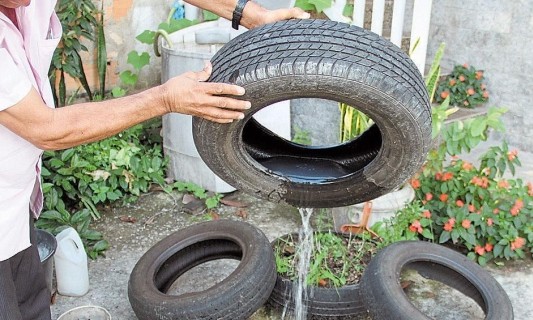 Com 72 casos suspeitos de dengue, combate ao mosquito segue na Zona Sul