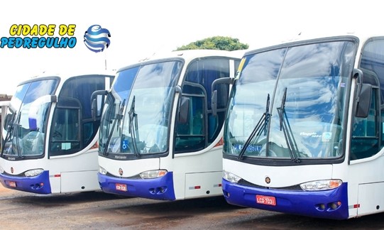 Pedregulho compra mais 6 ônibus para transporte gratuito de alunos