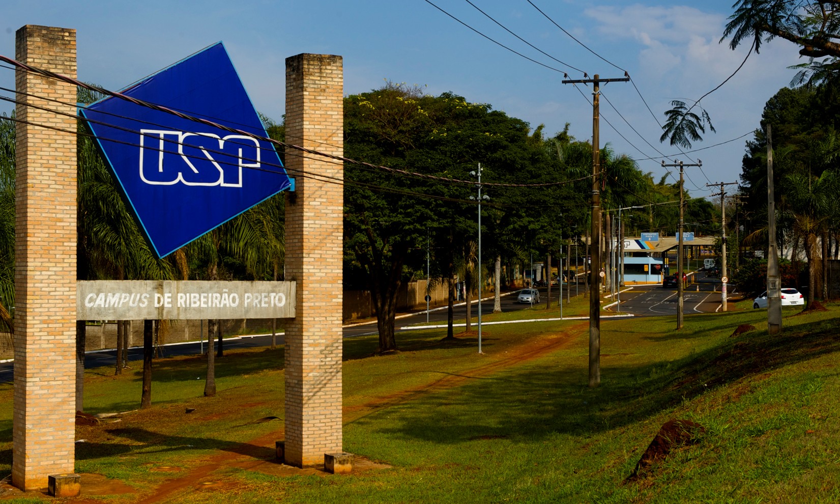 USP alcança melhor posição do Brasil em ranking feito pela Times Higher Education