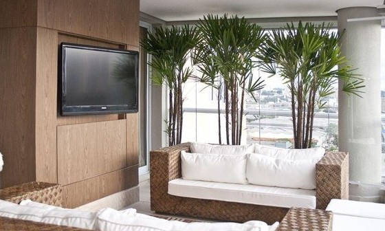 Decoração do apartamento: saiba quais as plantas que podem ser utilizadas