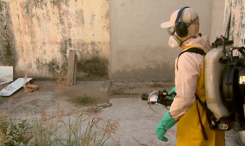 Ribeirão Preto, São Carlos e Campinas estão em alerta para dengue tipo 2