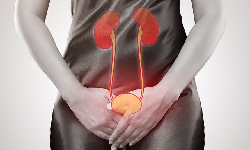 Saiba quando uma simples infecção urinária pode ser fatal e levar à morte